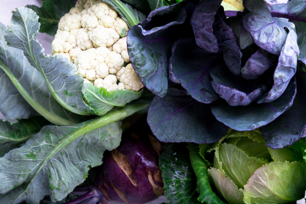 close up of cruciferous vegetables with purple and green cabbage and cauliflower