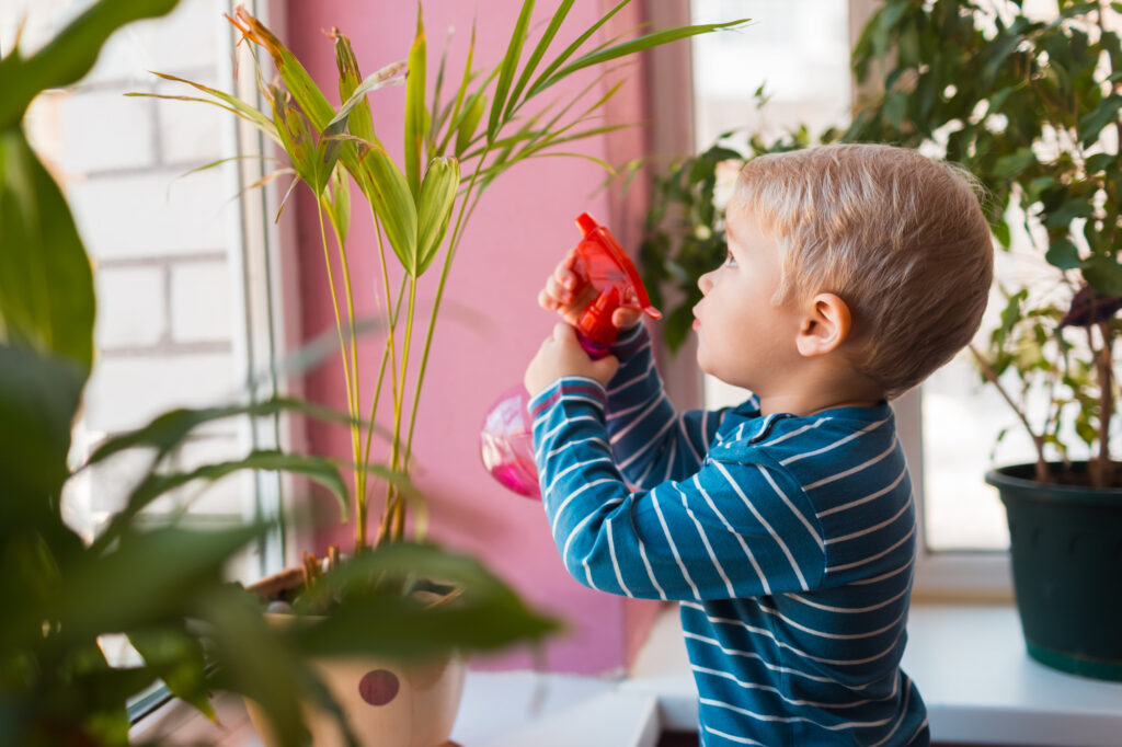 Toddler child with blue shirt holding red spray bottle watering house plants