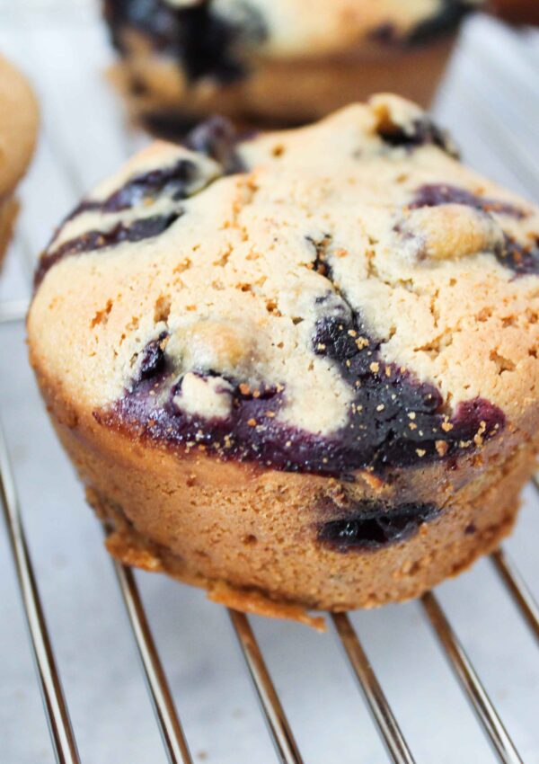 Easy Gluten Free Blueberry Muffins Recipe in the Blender