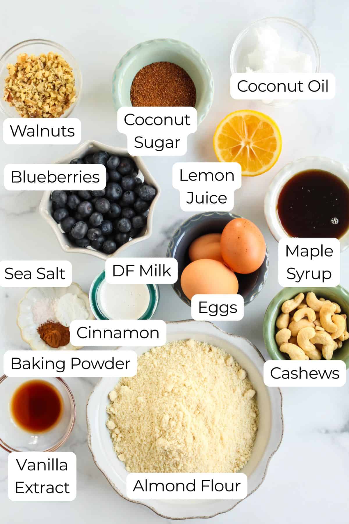 Labeled ingredients on counter to make gluten and dairy free blueberry blender muffins.
