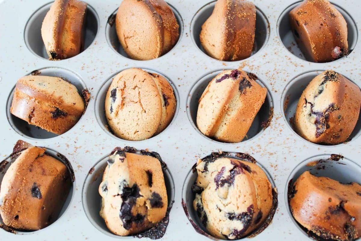 Fresh baked gluten free dairy free blueberry muffins without streusel topping, turned sideways in muffin pan.